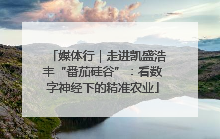 媒体行｜走进凯盛浩丰“番茄硅谷”：看数字神经下的精准农业