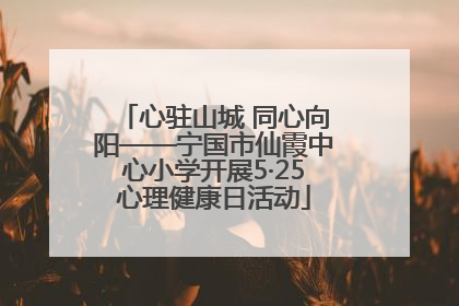 心驻山城 同心向阳——宁国市仙霞中心小学开展5·25心理健康日活动
