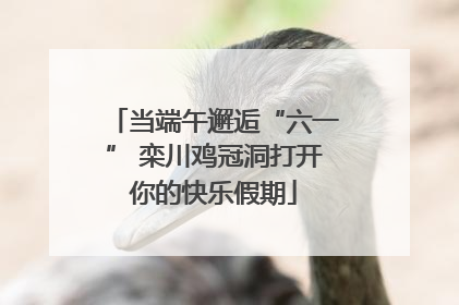 当端午邂逅“六一” 栾川鸡冠洞打开你的快乐假期