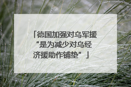 德国加强对乌军援 “是为减少对乌经济援助作铺垫”