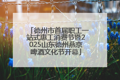 德州市首届职工一站式惠工消费节暨2025山东德州燕京啤酒文化节开幕
