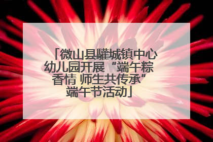 微山县驩城镇中心幼儿园开展“端午粽香情 师生共传承”端午节活动