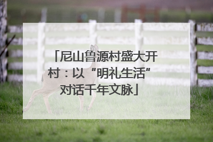 尼山鲁源村盛大开村：以“明礼生活”对话千年文脉