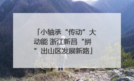小轴承“传动”大动能 浙江新昌“拼”出山区发展新路