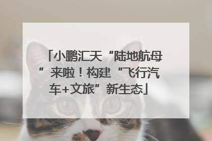 小鹏汇天“陆地航母”来啦！构建“飞行汽车+文旅”新生态