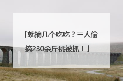 就摘几个吃吃？三人偷摘230余斤桃被抓！
