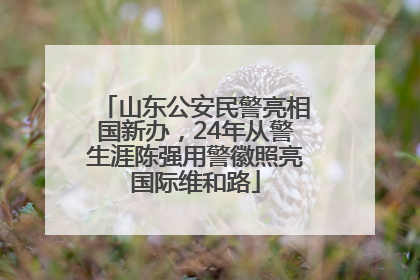 山东公安民警亮相国新办，24年从警生涯陈强用警徽照亮国际维和路