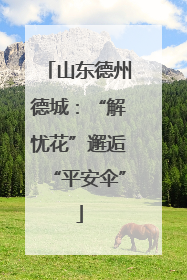 山东德州德城：“解忧花”邂逅“平安伞”