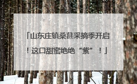 山东庄镇桑葚采摘季开启！这口甜蜜绝绝“紫”！