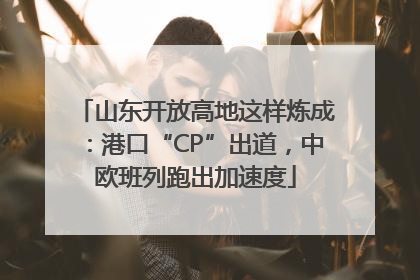 山东开放高地这样炼成：港口“CP”出道，中欧班列跑出加速度