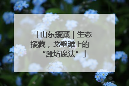山东援藏｜生态援藏，戈壁滩上的“潍坊魔法”