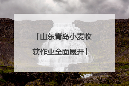 山东青岛小麦收获作业全面展开