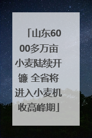 山东6000多万亩小麦陆续开镰 全省将进入小麦机收高峰期