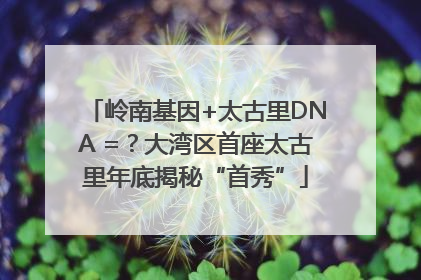 岭南基因+太古里DNA =？大湾区首座太古里年底揭秘“首秀”