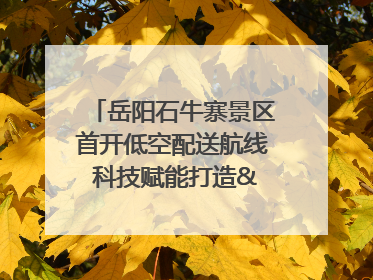 岳阳石牛寨景区首开低空配送航线 科技赋能打造"空中便利店"