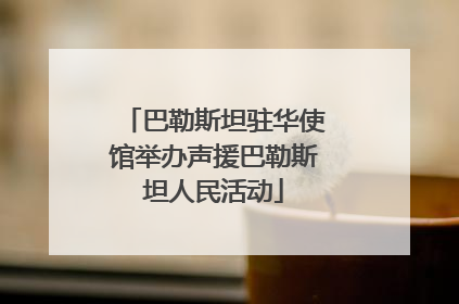 巴勒斯坦驻华使馆举办声援巴勒斯坦人民活动