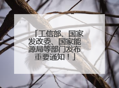 工信部、国家发改委、国家能源局等部门发布重要通知！
