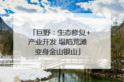 巨野：生态修复+产业开发 塌陷荒滩变身金山银山