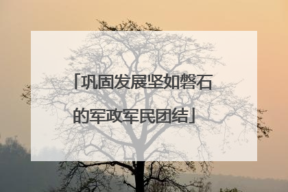 巩固发展坚如磐石的军政军民团结