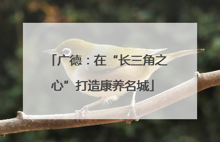 广德：在“长三角之心”打造康养名城