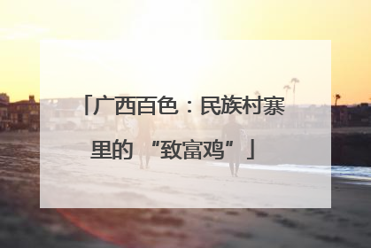 广西百色：民族村寨里的 “致富鸡”