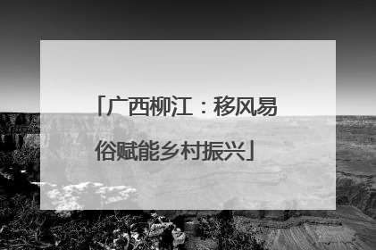 广西柳江：移风易俗赋能乡村振兴