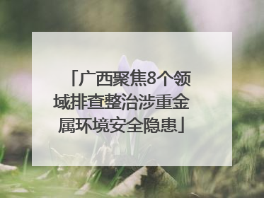 广西聚焦8个领域排查整治涉重金属环境安全隐患