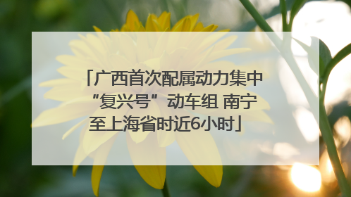 广西首次配属动力集中“复兴号”动车组 南宁至上海省时近6小时