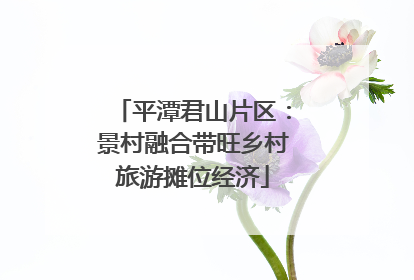 平潭君山片区：景村融合带旺乡村旅游摊位经济