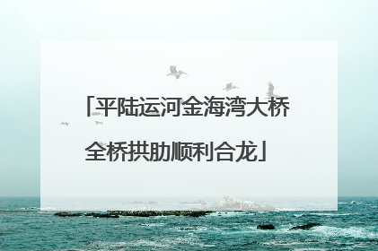 平陆运河金海湾大桥全桥拱肋顺利合龙