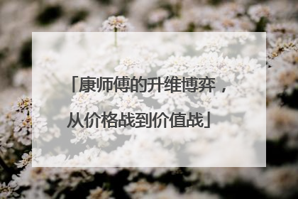 康师傅的升维博弈，从价格战到价值战
