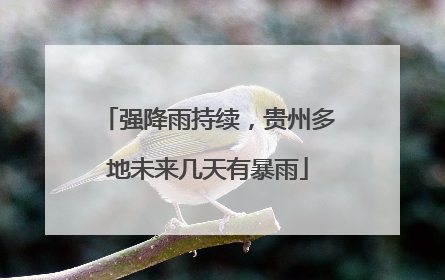 强降雨持续，贵州多地未来几天有暴雨