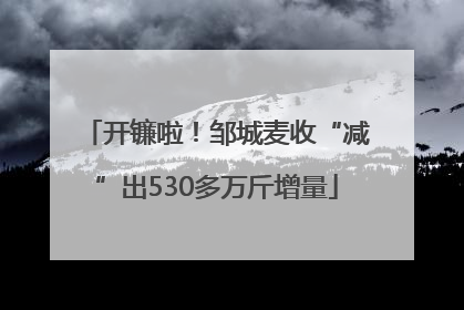 开镰啦！邹城麦收“减”出530多万斤增量