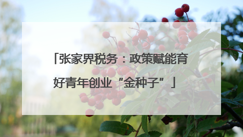 张家界税务：政策赋能育好青年创业“金种子”
