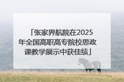 张家界航院在2025年全国高职高专院校思政课教学展示中获佳绩