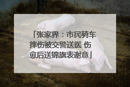 张家界：市民骑车摔伤被交警送医 伤愈后送锦旗表谢意