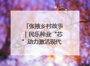 张掖乡村故事｜民乐种业“芯”动力激活现代农业新活力