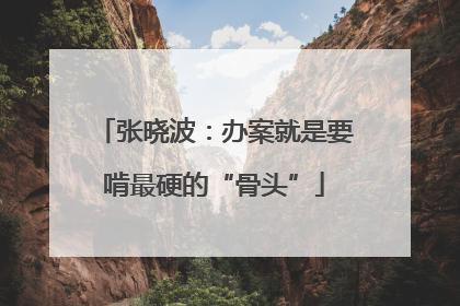 张晓波：办案就是要啃最硬的“骨头”