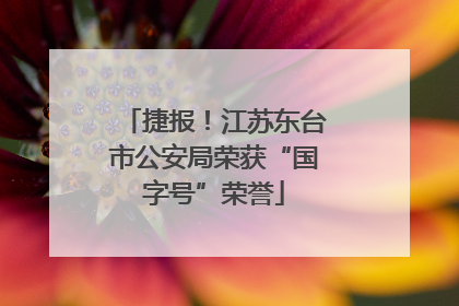 捷报！江苏东台市公安局荣获“国字号”荣誉