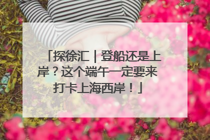 探徐汇｜登船还是上岸？这个端午一定要来打卡上海西岸！