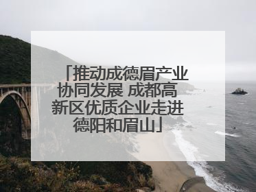 推动成德眉产业协同发展 成都高新区优质企业走进德阳和眉山