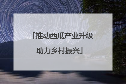 推动西瓜产业升级 助力乡村振兴