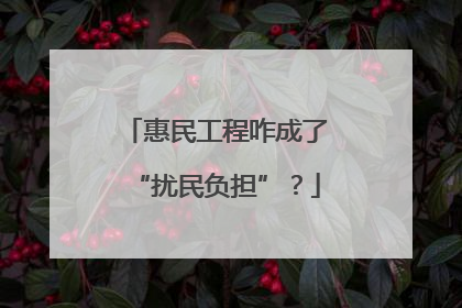 惠民工程咋成了“扰民负担”？