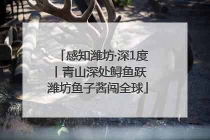 感知潍坊·深1度丨青山深处鲟鱼跃 潍坊鱼子酱闯全球