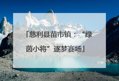 慈利县苗市镇：“绿茵小将”逐梦赛场