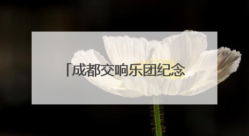 成都交响乐团纪念反法西斯战争胜利80周年音乐会举行