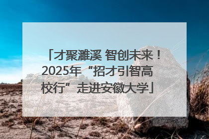 才聚濉溪 智创未来！2025年“招才引智高校行”走进安徽大学