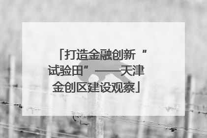 打造金融创新“试验田”——天津金创区建设观察