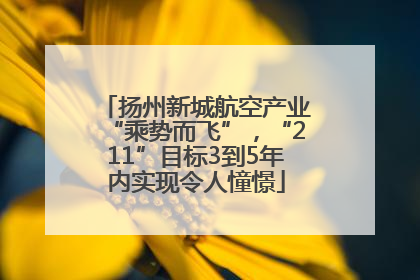 扬州新城航空产业“乘势而飞”，“211”目标3到5年内实现令人憧憬