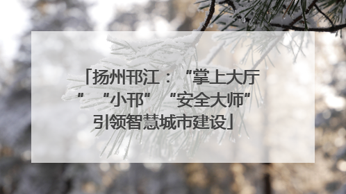 扬州邗江：“掌上大厅”“小邗”“安全大师”引领智慧城市建设